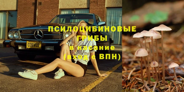 дживик Алзамай