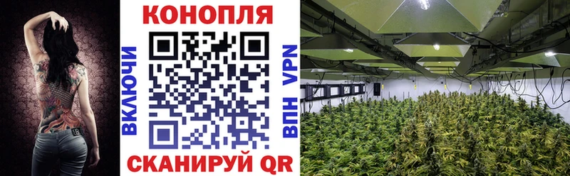 Марихуана марихуана  ОМГ ОМГ как войти  Тара 